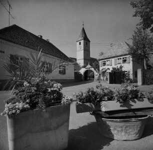 Archivfotografie "kaiserstuhl_sasbach_22656neg"
