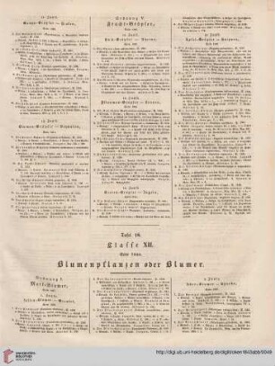 Classe XII. Blumenpflanzen oder Blumer