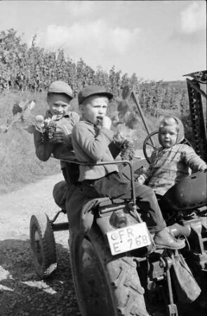 Ihringen: Kinder auf dem Traktor, Traktor von hinten