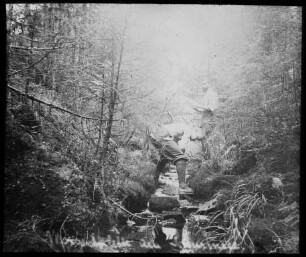 Im Nordschwarzwald