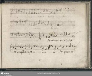 Thomas Stoltzer: Beatus vir qui non abiit