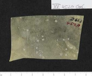 CIL XV 4520, Gelatinefolie