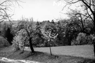 Kleinopitz bei Freital