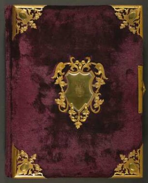 Familienalbum (Mischform zum Sammelalbum) : Familienalbum (Mischform zum Sammelalbum). Samteinband, Messingbeschläge, Messingschließe, Goldschnitt; 29,5 x 23 x 6 cm (um 1890/1900). Dresden: SLUB/DF 1992.C.3