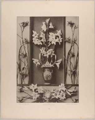 39. Füllungen und Vignette aus weissen und Feuer-Lilien mit Vase und Löwenkopf