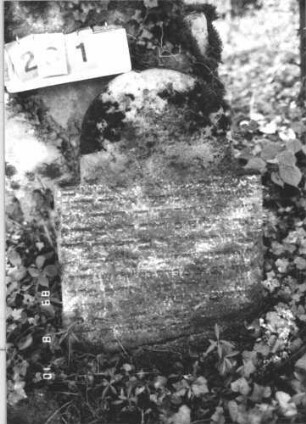 Grabstein 281 (Index: 99799863) Material: Sandstein Zustand: stark verwittert, auf d. Photos unleserlich, Stele abgebrochen Maße HxBxT: 81x60x8 cm Beschreibung: Stele, eingezogener Stelzbogenabschluß, Stele abgebrochen Besonderheit: kulturhistorisch wertvoll / hist.-wiss. Gründe (Gemeindestellung); - Stele lehnt von hinten an Grabstein Nr. 282: Grabstein 281