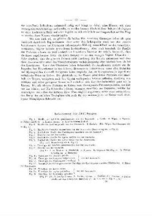 Erläuterung der Abbildungen