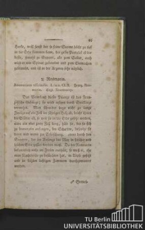Rosmarin. Rosmarinus officinalis. Linn. Cl. II. Franz. rosmarin. Engl. rosemarry.
