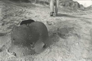 Stahlhelm