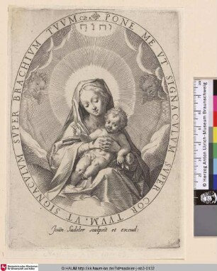 [Maria mit dem Kinde auf Wolken sitzend. Jesus hält eine Rose und segnet]