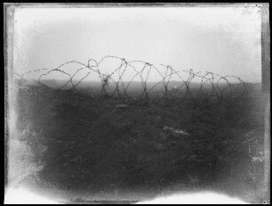 bei Neuville (=Neuville-Saint-Vaast, Dep. Pas-de-Calais, Frankreich): Stacheldraht