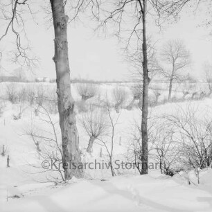 Rethwischdorf: Winterlandschaft mit Bäumen im Vordergund: dahinter Knicks
