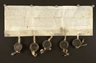 1619 Sept. 29. Stadtobligation der Kornherren über 1000 Thaler für Pastor H. Pleßmann, Heiden.