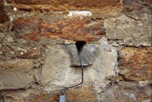 Öffnung an der Rückseite der Kirche, Piscina (?)