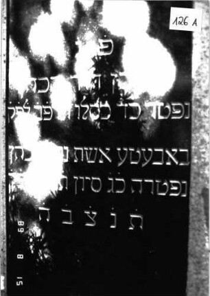 Grabstein 126 (Index: 100105331) Material: Granit, schwarze Platte Zustand: gut Maße HxBxT: 201x158x14 cm Beschreibung: Stele, beidseitig von halbhohen Flügeln umfaßt, leicht überstehende Abdeckplatte, rechteckige Schriftplatte, vor Stele liegend rechteckige Gedenktafel Besonderheit: Doppelgrab für Eheleute und Gedenktafel: Grabstein 126A