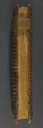 Familienalbum : Familienalbum. Ledereinband, geprägt und mit Messingschließe; 28,2 x 22 x 4 cm (um 1875). Dresden: SLUB/DF 2008.C.22
