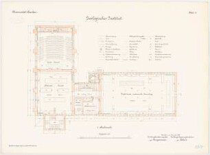 Universität Breslau Zoologisches Institut: Grundriss 1. Obergeschoss 1:100