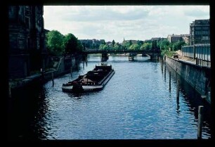 Spree am Dom 9.6.73.