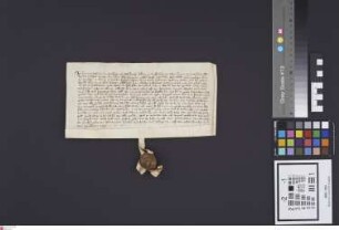 Bickenbach: Graf Gerhard v. Rienach und Schenk Eberhard v. Erbach sein Habitzheimer Burglehen bestehen in einem halben Fuder Weingült fallend allj...