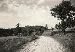Altenberg-Geising,Geisingberg (824 m). Ansicht von Nordosten von der Straße Bärenstein - Altenberg nahe des Lerchenhübels