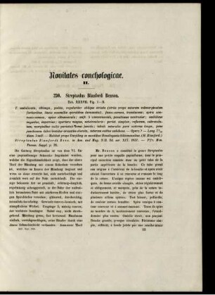 Novitates conchologicae. II. 230. Streptaulus Blanfordi Benson. [bis] 310. Helix Emma Pfr.