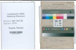 Entnazifizierung Richard Suppes , geb. 03.04.1893 (Bankkaufmann)
