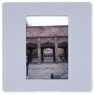 Leipzig, Neues Grassimuseum
