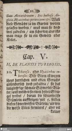 Cap. V. II. De Plantis Tuberosis