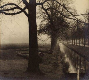 Parklandschaft