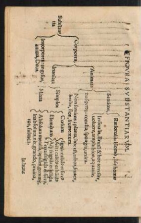 Figura Substantiarum.