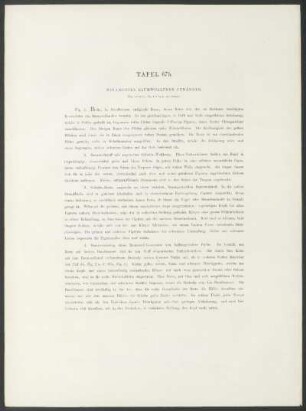 Tafel 67b. - Wollborten baumwollener Gewänder.