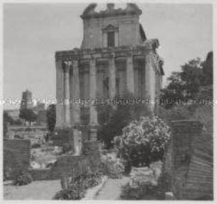 Rom, Forum Romanum, Tempel des Antoninus Pius und der Faustina