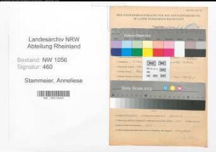 Entnazifizierung Anneliese Stammeier , geb. 01.05.1922 ()