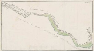 Plan Litt. D. Wiesen zwisch der Enz und der Burg-Zelg