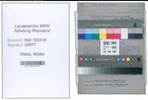 Entnazifizierung Walter Weiss , geb. 02.07.1910 (Bueroangestellter)