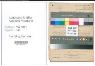 Entnazifizierung Hermann Hemsing , geb. 11.02.1903 (Kaufmann)