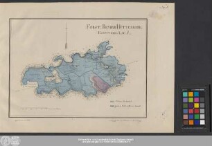 Forst-Revier Hüttenrode : Haupttheil Lit. A