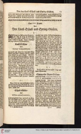 Das XVII. Capitel. Von den Knall-Schall und Spring-Gläsern