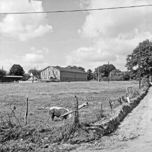 Landwirtschaft: vorn Weide mit Schwein: davor Zaun: im Hintergrund Bauerngehöft und Bäume