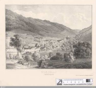 Wildbad von der Nordseite