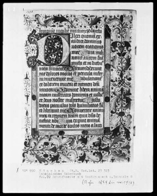 Lateinisches Gebetbuch aus Kloster Baumburg — Initiale D und Vollbordüre, Folio 70recto