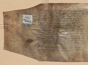 Megilat Ester, Esterrolle - BSB Cod.hebr. 442