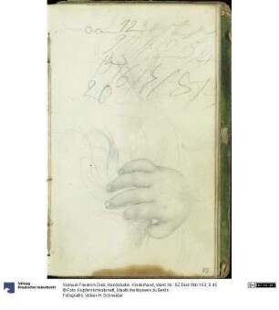Handstudie. Kinderhand