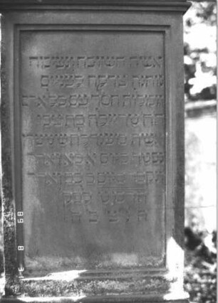Grabstein 313 (Index: 99609950) Material: Sandstein Zustand: leicht, am Sockel stark verwittert Maße HxBxT: 248x72x36 cm Beschreibung: Stele, Abdeckplatte, Volutenaufsatz, Seitenakrotere, Mittelpalmette, Schriftfeld eingetieft, getreppter Sockel, darauf gekreuzte Palmzweige Symbolik: Voluten, Palmette, gekreuzte Palmzweige: Grabstein 313A