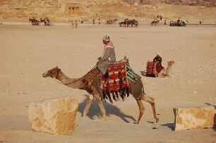Kairo - Kamele an den Pyramiden : Kameltreiber warten an den Pyramiden von Gizeh auf Touristen, aufgenommen 2006 bei Kairo