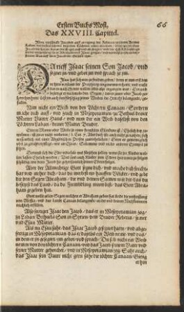 Das XXVIII. Capittel.