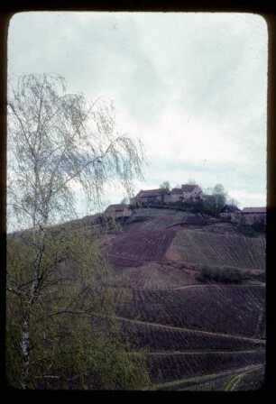 Schloss Staufenberg in der Ortenau