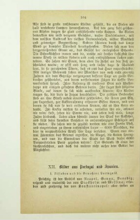 XII. Bilder aus Portugal und Spanien