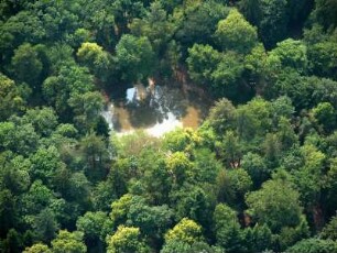 Bad Homburg vor der Höhe : Domholzhausen - westlich