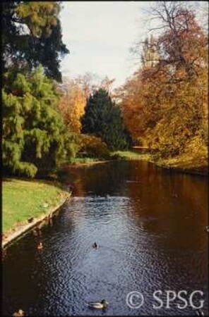 Potsdam, Park Sanssouci, Bullenwiese.